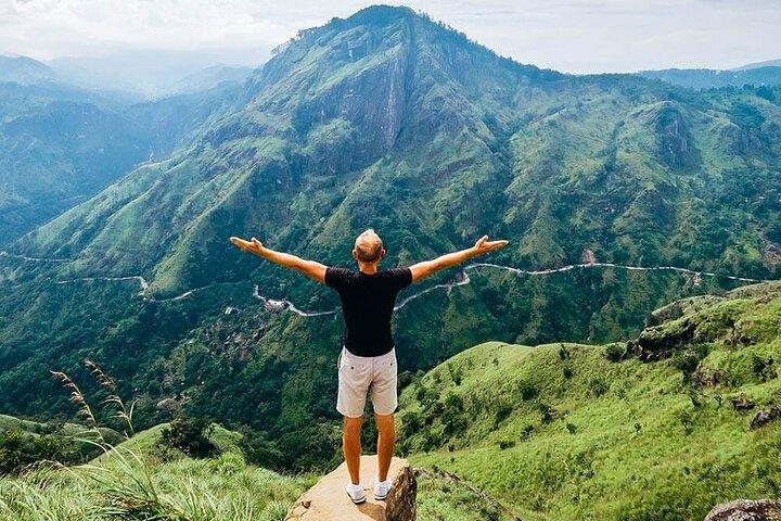 Ella Day Tour with Tea Factory Visit From Colombo or Negombo