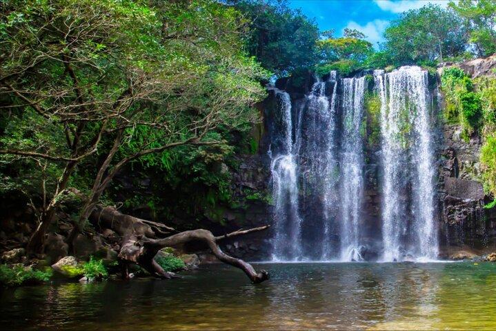 Rainforest and Waterfall Tour with Chocolate and Coffee