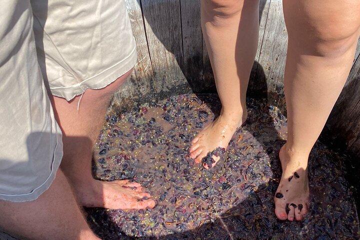 Grape Stomping Experience and Wine Tasting