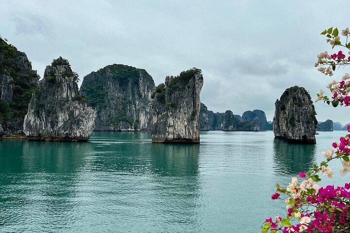 Bai Tu Long Bay 2 Days 1 Night Tour from Hanoi