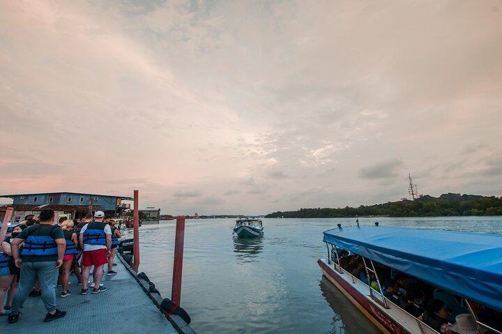 Fireflies Tour with Blue Tears, Eagle Feeding & Dinner (Private)