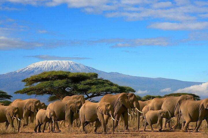 3 Days 2 Nights Amboseli National Park Tour