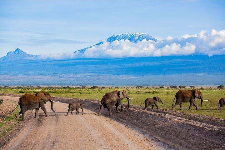 3 Days 2 Nights Amboseli National Park Tour