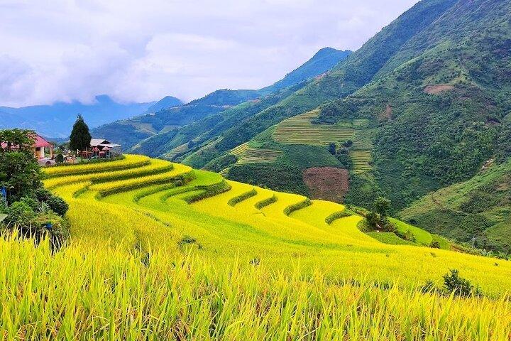 Private 6-Day Tour to Fansipan, Bac Ha Market and Terraced Fields