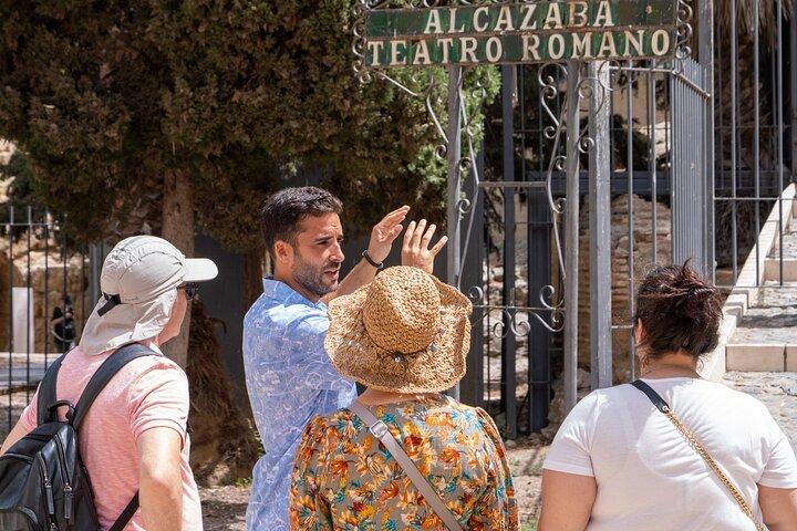Malaga Private Tour, Roman Theatre, Alcazaba with Tickets Included