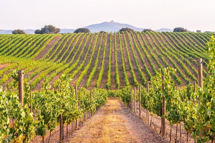 Évora Private Tour - Cork Factory Visit & Wine Tasting Included