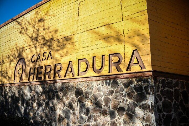 A unique tour! Visiting Hacienda Casa herradura From Guadalajara