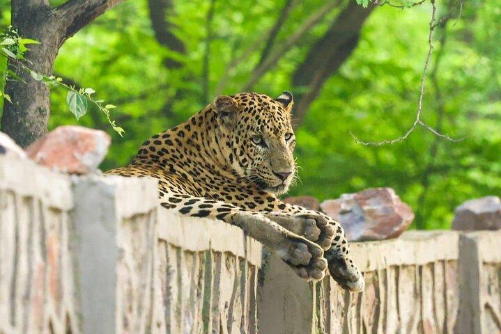 05 Days - Private Luxury Golden Triangle Tour with Ranthambore