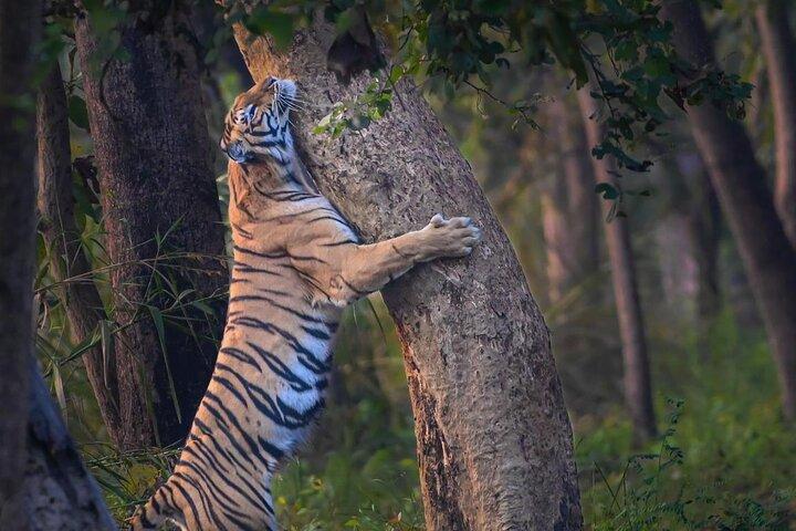 05 Days - Private Luxury Golden Triangle Tour with Ranthambore