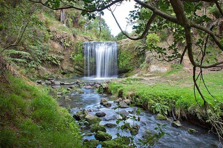 Private VIP Guided Auckland Waterfalls Tour