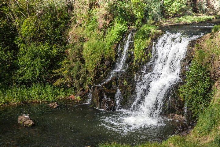 Private VIP Guided Auckland Waterfalls Tour