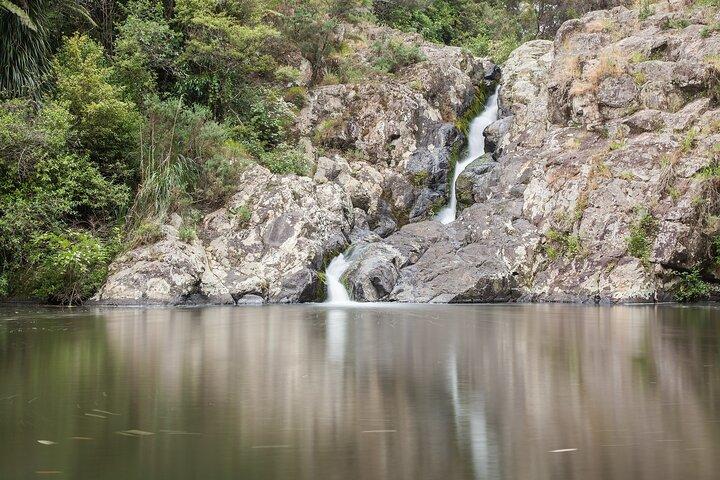 Private VIP Guided Auckland Waterfalls Tour