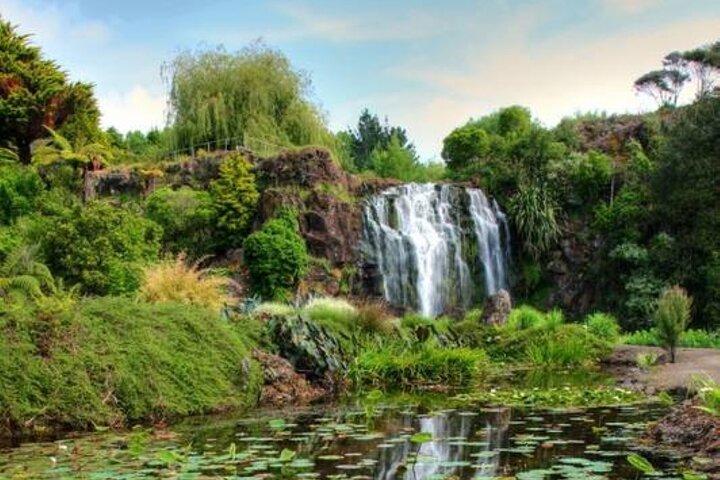 Private VIP Guided Auckland Waterfalls Tour
