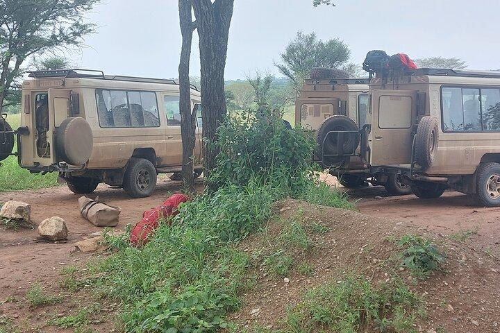 5 Day Camping Tarangire Serengeti Ngorongoro Crater and Maasai