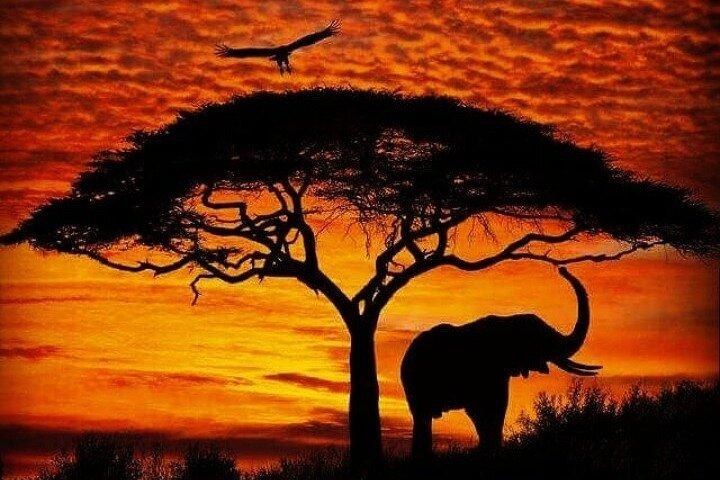 12 Days Memorable Kenya and Tanzania Safari
