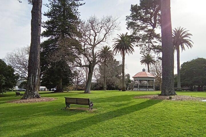 Auckland City Highlights Private Tour