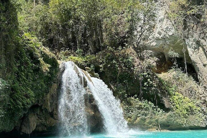 Whale Shark Snorkeling, Kawasan Falls, Sardines Run from Cebu