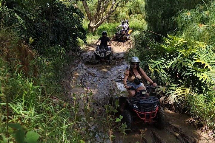 ATV Adventure: Mountains and Forest Tour