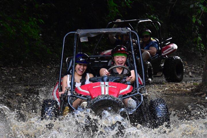 Roatán Shore Excursions: Wildlife + ATV/Buggy & Beach(1Beer/pp)