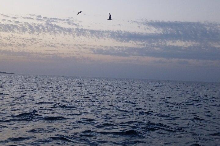 Boat Tour in Polignano a Mare