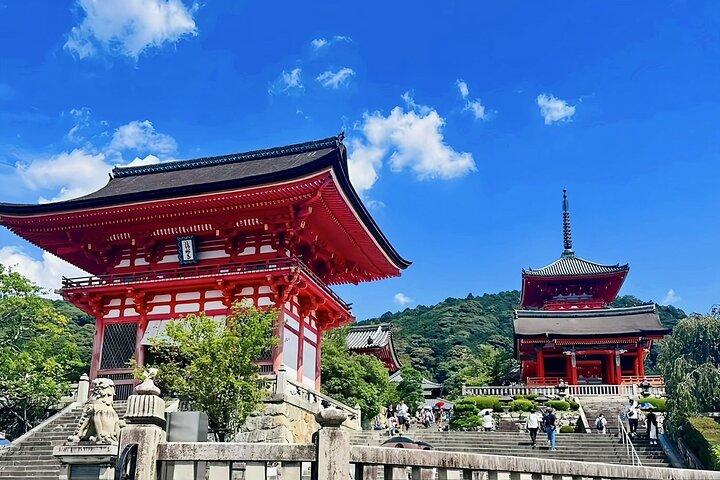 Kyoto&Nara&Osaka: One day private Customized Car tour