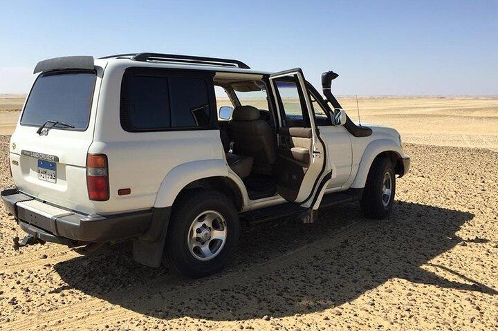Overnight Camping Trip to El-Fayoum Oasis from Cairo