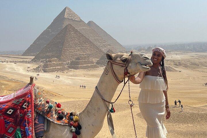 All Giza activists