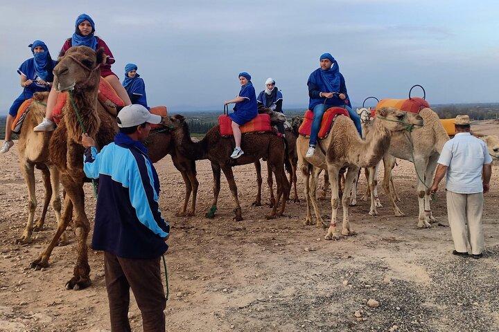 Camel Ride and Quad Tour in Marrakech