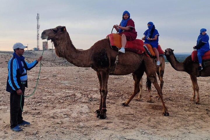Camel Ride and Quad Tour in Marrakech