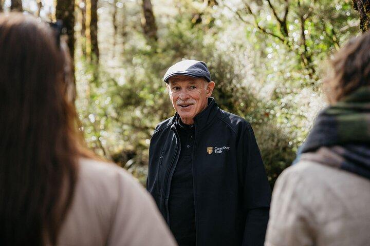 Arthur's Pass Discovery and TranzAlpine Train - Small Group Tour