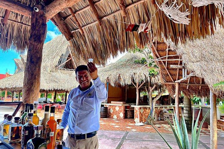 Island Tour in Cozumel, Mayan Show & Tacos