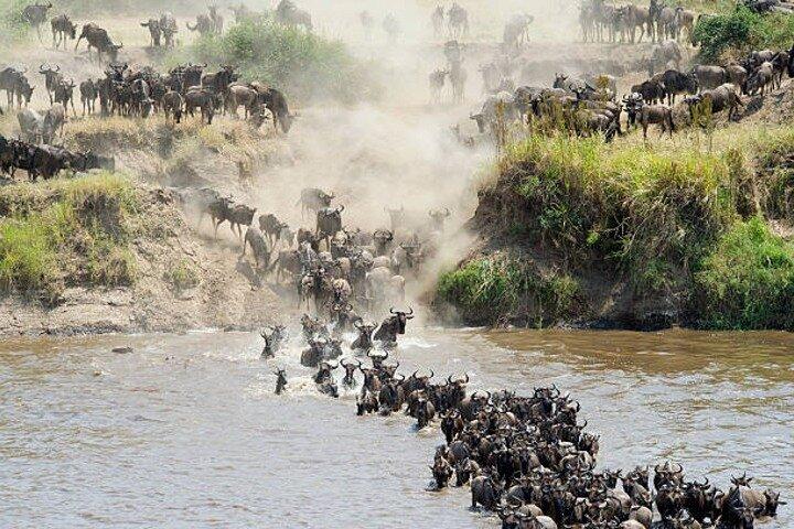 5 Days Guided Safari along Tanzania's Northern Circuit
