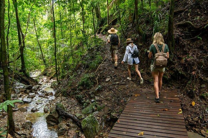 Beautiful Daintree Waterfall Walk, Magical Swim & Heavenly Lunch