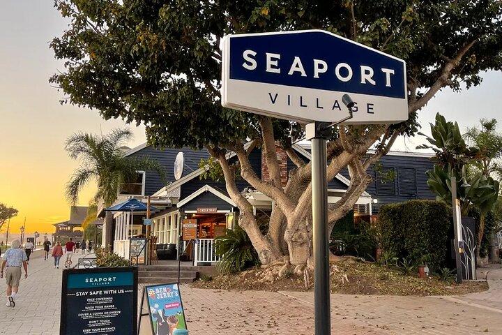 Private San Diego Seaside Scenic Tour From Orange County