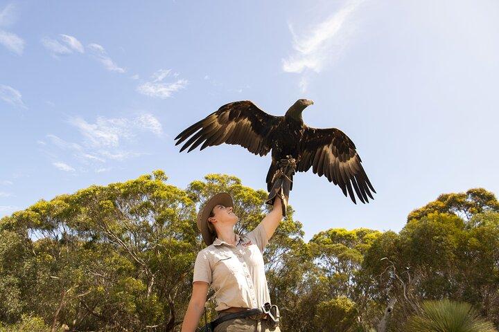 One Day Kangaroo Island Sip & See tour with return ferry transfers from Adelaide