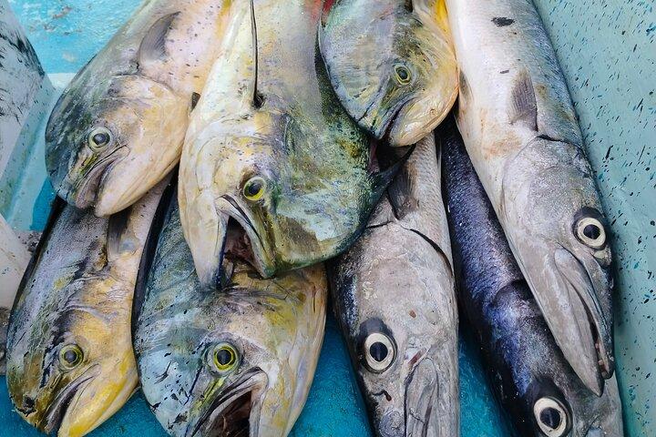 3 Hours Private Sport Fishing in Costa Maya