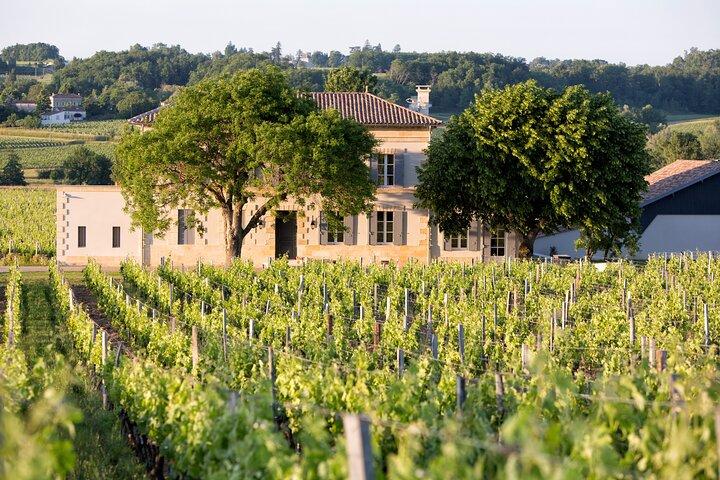 Private Wine Tour of Medoc and Saint Emilion