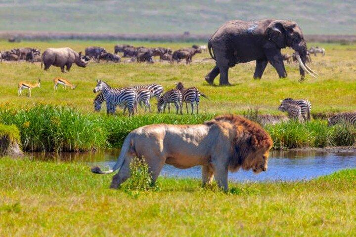 6 Days Tour at Lake Manyara, Serengeti, Crater & Tarangire