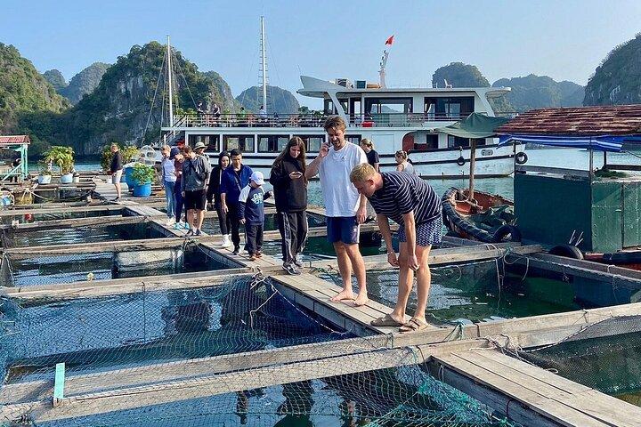 From Hanoi/Cat Ba: Lan Ha-Ha Long Bay Full Day Boat trip