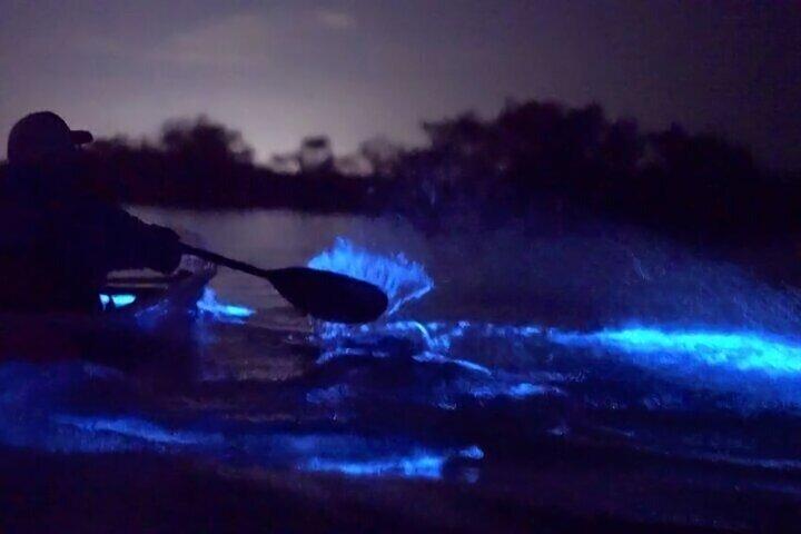 Sunset & Bioluminescent Plankton Kayaking Lan Ha bay