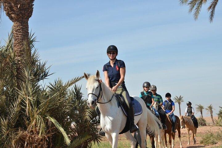 Marrakech Adventure a Horseback Ride through the Palmeraie