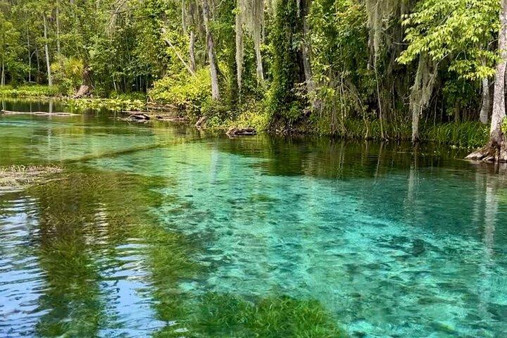 Silver Springs: Clear Kayaking Wildlife Tour