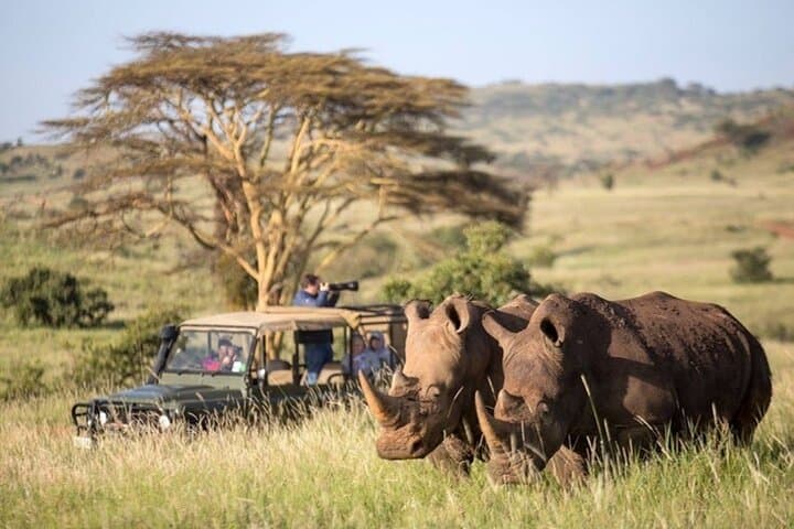 3 Day Maasai Mara Budget Adventure Tour