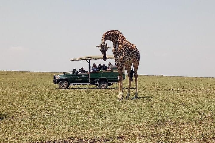 3 Day Maasai Mara Budget Adventure Tour