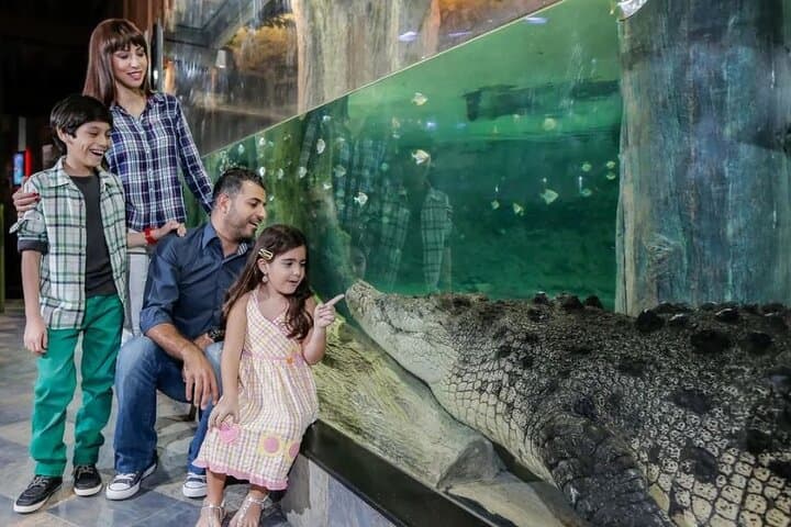 Burj Khalifa and Dubai Aquarium Combo Entrance Ticket