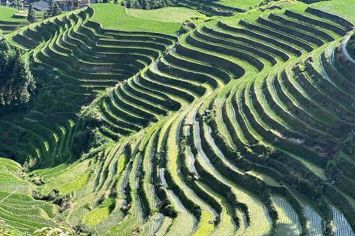 Private Day Tour: Longji Rice Terraces and Long Hair Village