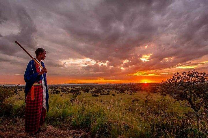 11 Days Kenya Wildlife Safari