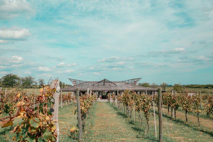 Buenos Aires Exp. Winery Gamboa Tasting and Lunch and Transfer