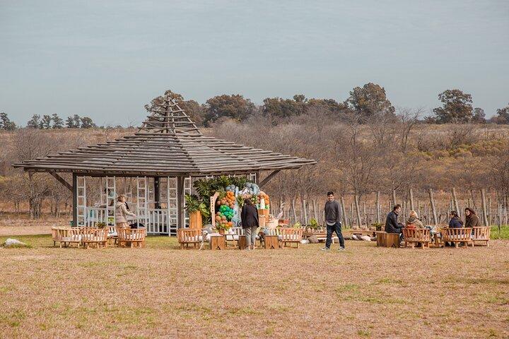 Buenos Aires Exp. Winery Gamboa Tasting and Lunch and Transfer