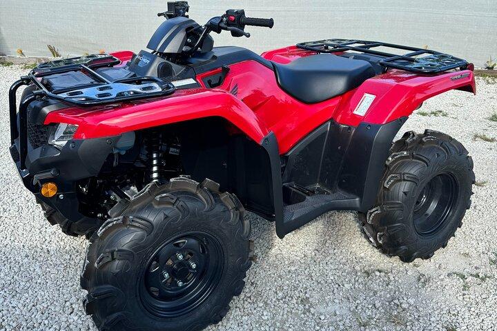 The Ultimate Miami ATV Escape: Sunset Glow & Sunflower Tours